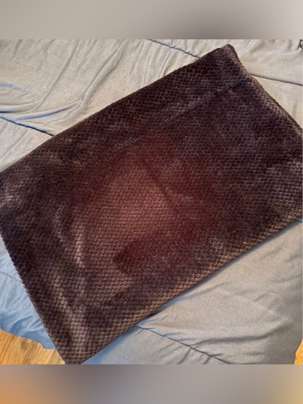 Black Plush Textured Throw Blanket